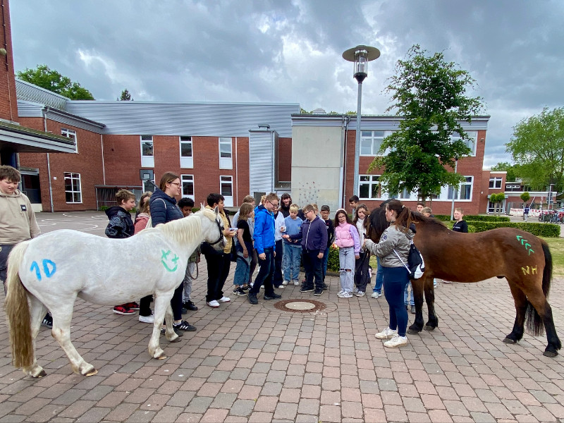 Ponybesuch an der Edith-Stein-Schule